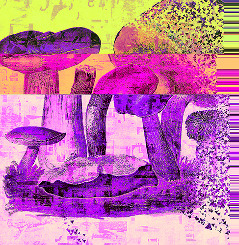 Mixed_Character_Composite Matar